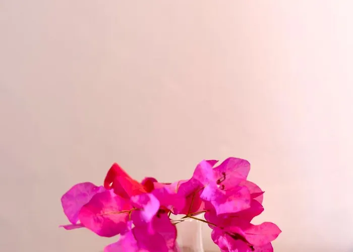 Ubytování v soukromí Krem Alaçatı