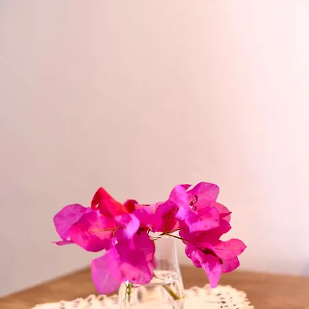 홈스테이 Krem 알라카티