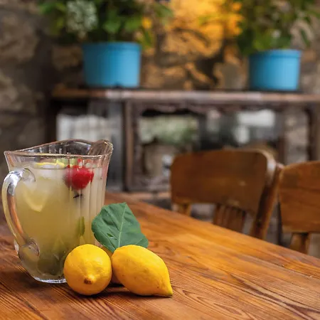 Krem 民宿 阿拉恰特