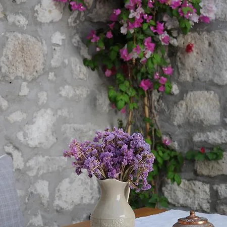 Alloggio in famiglia Krem Alaçatı