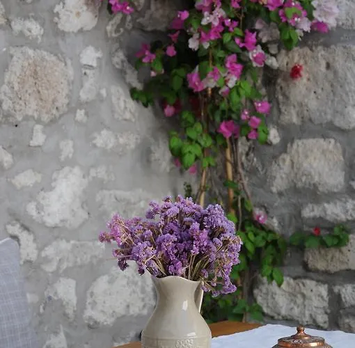 Alloggio in famiglia Krem Alaçatı